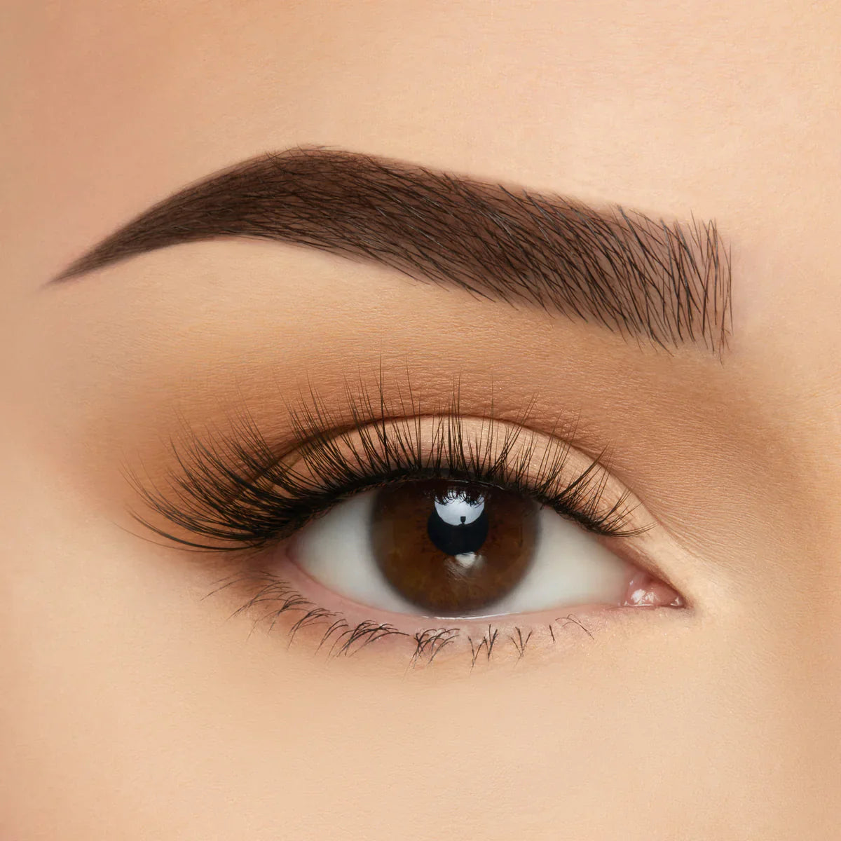 Close-up of a brown eye showcasing lashes for a close up view
